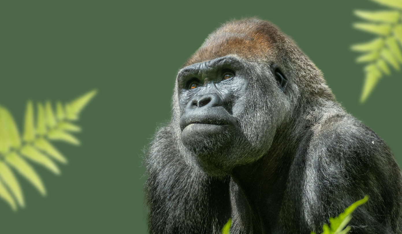 2016 Nostalgia Was 2016 Actually Any Good